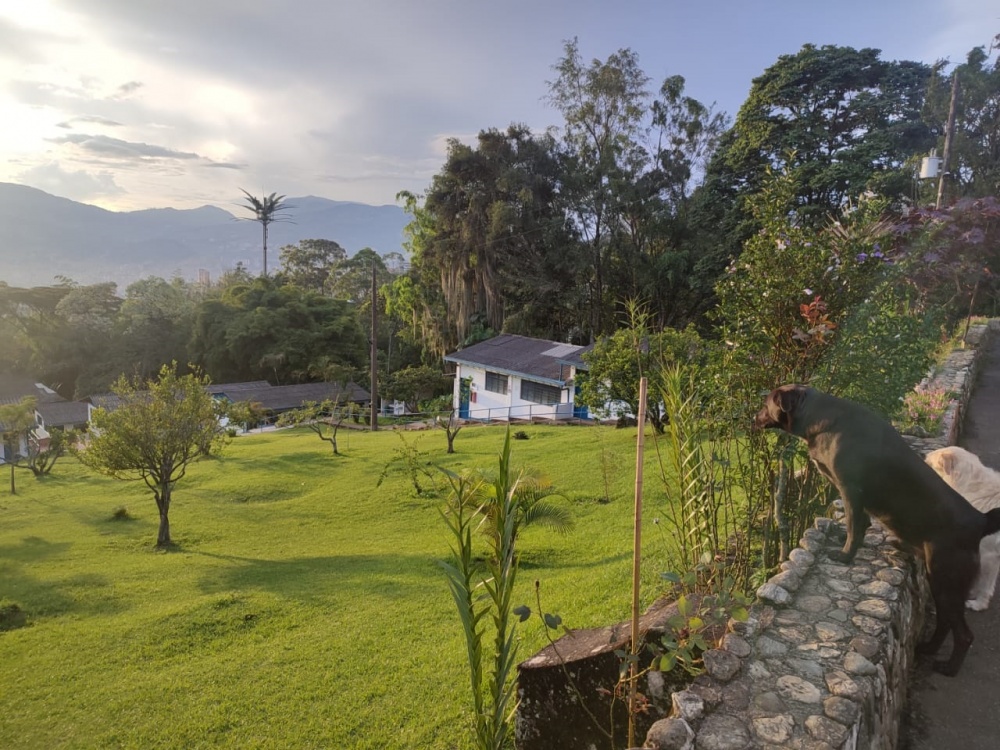 colegios católicos Medellín colegios en el poblado COLEGIO NUESTRA SEÑORA DE LA PROVIDENCIA|Costos y Fotos de COLEGIO NUESTRA SEÑORA DE LA PROVIDENCIA |Colegios en |Los mejores Colegios de |Colegios Calendario A|Colegios  Calendario A en |Colegio ACADEMICO